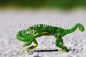 Are crabs afraid of the cold?