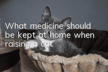What medicine should be kept at home when raising a cat?
