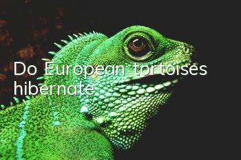Do European tortoises hibernate?