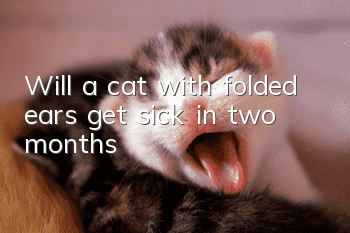 Will a cat with folded ears get sick in two months?