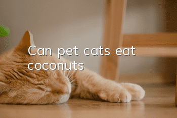 Can pet cats eat coconuts?