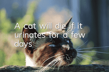 A cat will die if it urinates for a few days