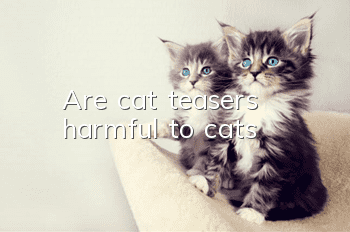 Are cat teasers harmful to cats?