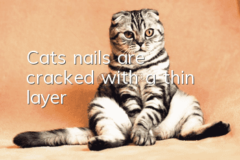Cat's nails are cracked with a thin layer