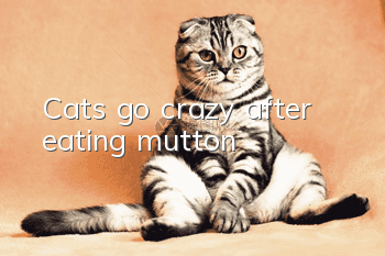 Cats go crazy after eating mutton