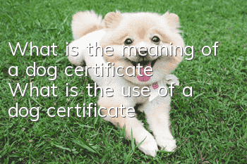 What is the meaning of a dog certificate? What is the use of a dog certificate?