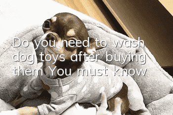 Do you need to wash dog toys after buying them? You must know