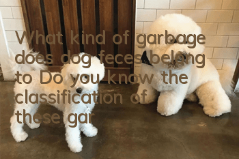 What kind of garbage does dog feces belong to? Do you know the classification of these garbage?