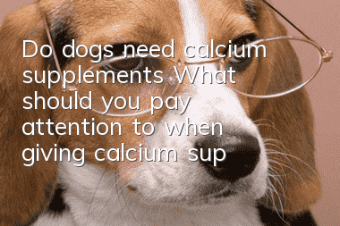 Do dogs need calcium supplements? What should you pay attention to when giving calcium supplements to dogs?