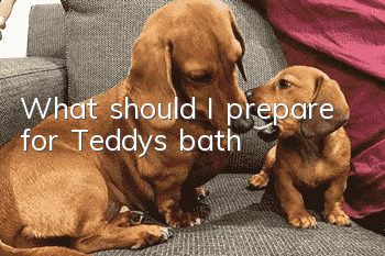 What should I prepare for Teddy's bath?