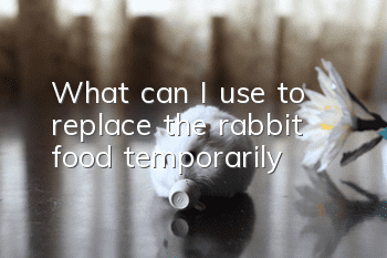 What can I use to replace the rabbit food temporarily?